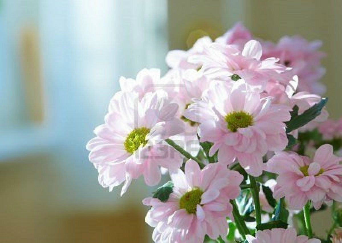 Os ótimos Truques De Maquiagem Pra Rejuvenescer O Rosto, Depois Dos 40 9